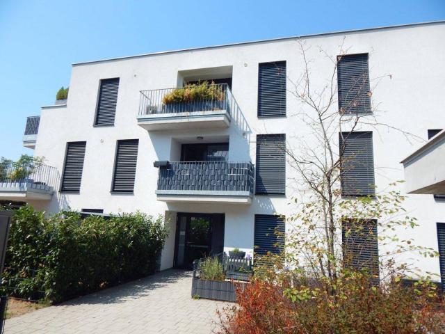 Apartment kaufen in Schwechat, Niederösterreich