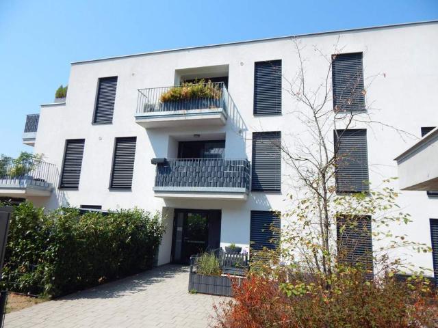 Wohnung kaufen in Bruck an der Leitha, Niederösterreich