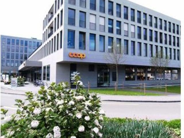 Wohnung mieten in Wetzikon (ZH), Zürich