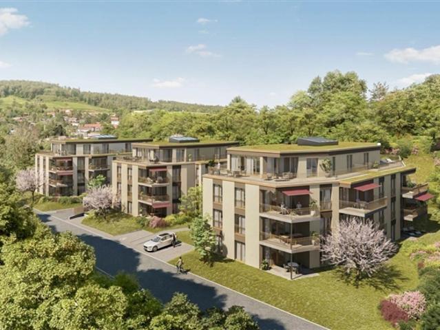 Wohnung kaufen in Endingen, Aargau