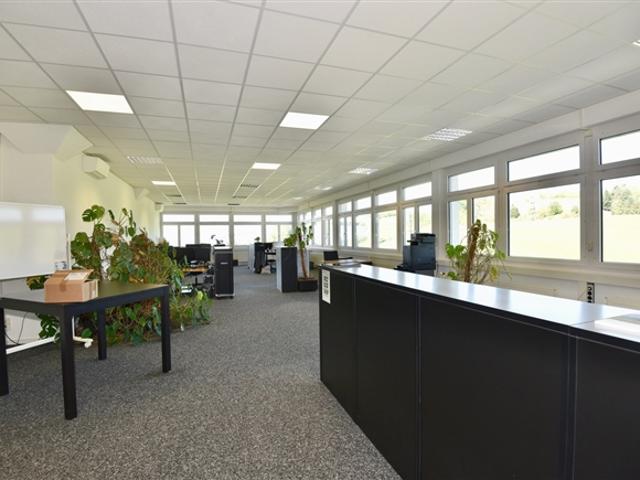 Büro mieten in Küssnacht am Rigi, Schwyz