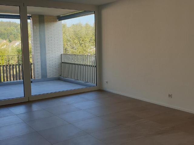 Immobilie kaufen in Unterentfelden, Aargau