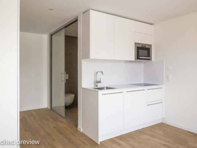 Wohnung mieten in Langstrasse, Zürich