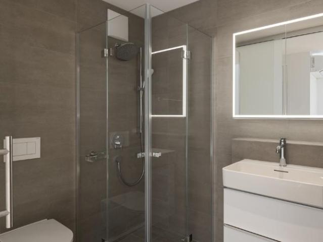 Apartment mieten in Langstrasse, Zürich