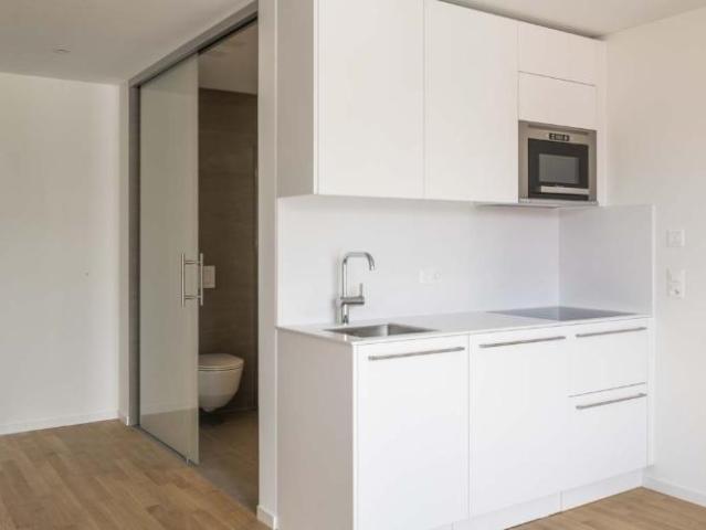 Apartment mieten in Einigen, Zürich