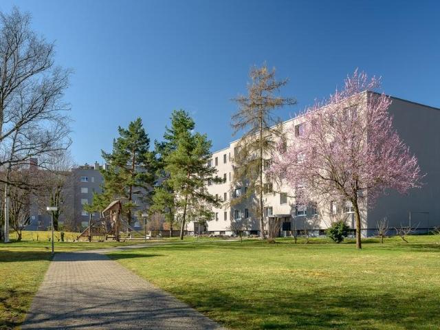 Apartment mieten in Dornach, Solothurn