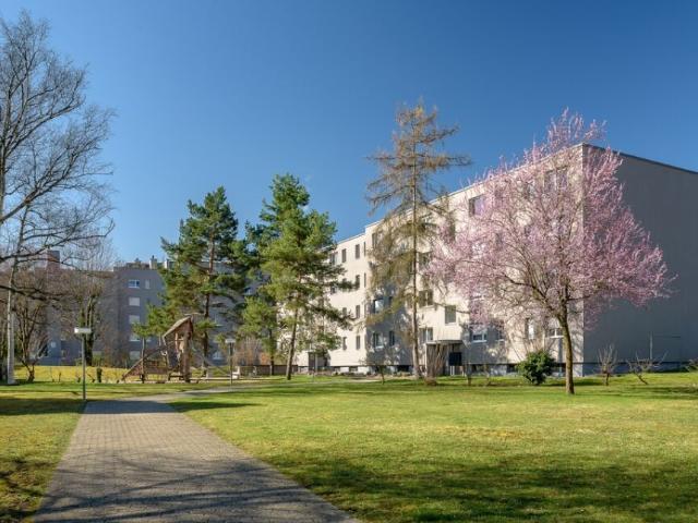 Wohnung mieten in Dornach, Solothurn