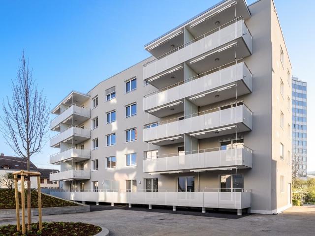 Wohnung mieten in Menziken, Aargau