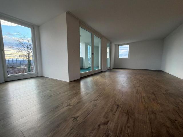 Apartment mieten in Laufen-Uhwiesen