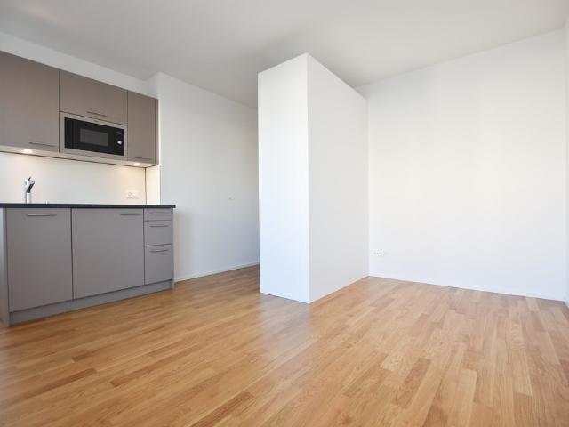 Wohnung mieten in Bern