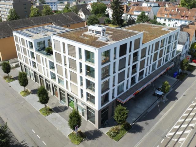 Wohnung mieten in Birsfelden, Bezirk Arlesheim