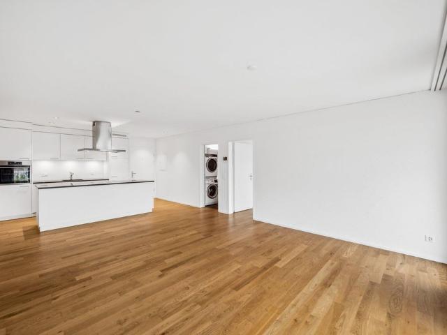 Apartment mieten in Birsfelden, Bezirk Arlesheim