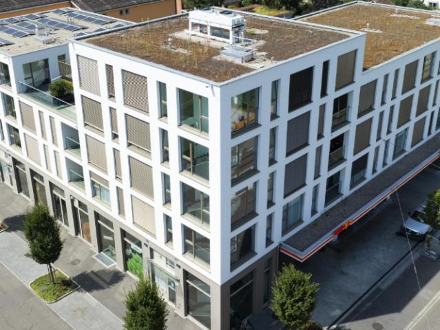 Apartment mieten in Birsfelden, Bezirk Arlesheim
