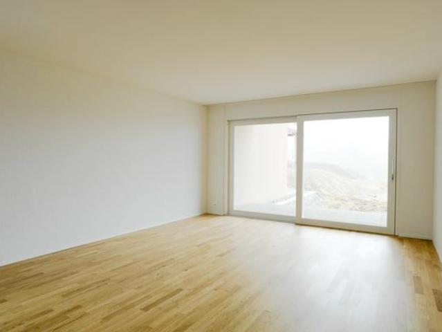 Apartment mieten in Vordere Bühl, Frauenfeld
