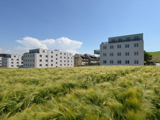 Wohnung mieten in Köniz, Bern