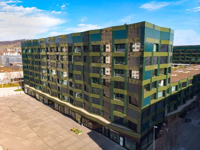 Apartment mieten in Am Rietpark, Schlieren