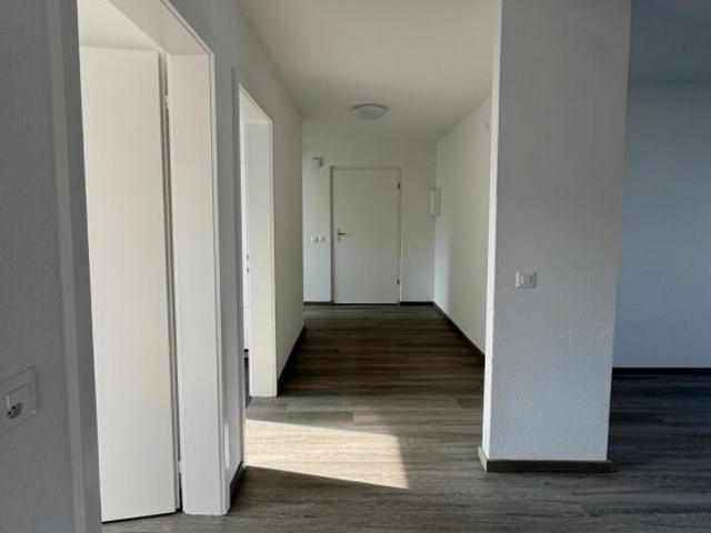 Wohnung mieten in Staad (SG), St. Gallen