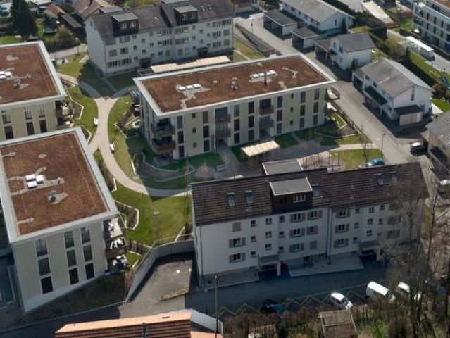 Apartment mieten in Roggwil (BE), Verwaltungsregion Emmental-Oberaargau