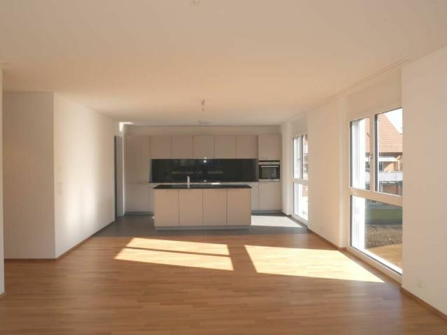 Wohnung mieten in Wagenhausen, Thurgau