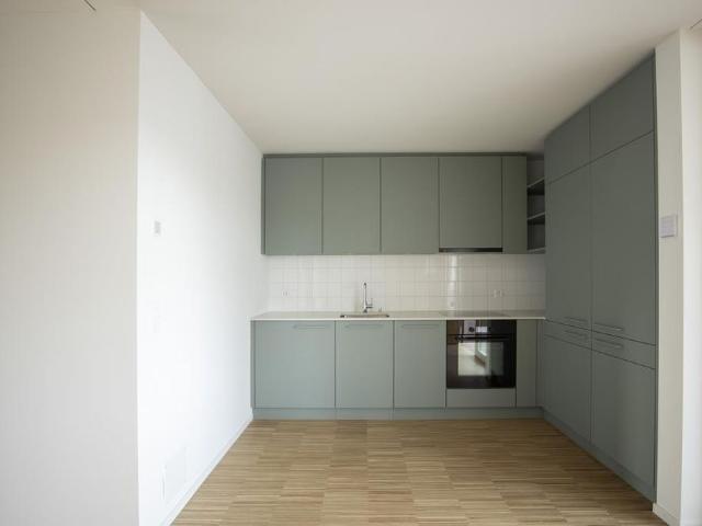 Apartment mieten in Muttenz, Bezirk Arlesheim