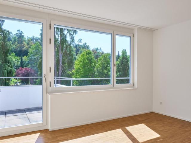 Apartment mieten in Blüemliquartier, Dietikon