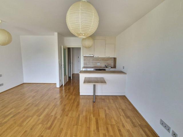 Apartment mieten in Villacher Vorstadt, Klagenfurt