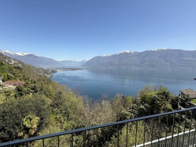 Immobilie kaufen in Ronco sopra Ascona, Tessin