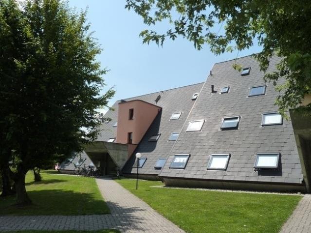 Wohnung mieten in Fehraltorf, Zürich