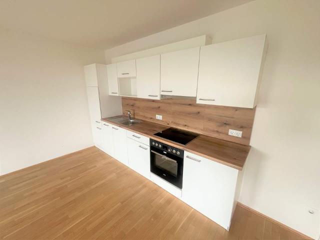 Wohnung mieten in Katastralgemeinde Graz Stadt-Weinitzen, Graz