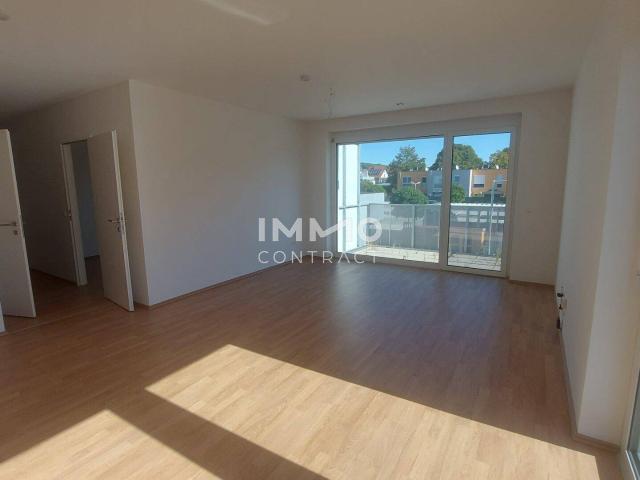 Apartment mieten in Hörfarth, Paudorf