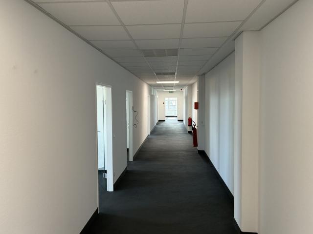 Büro mieten in Schwechat, Bezirk Bruck an der Leitha