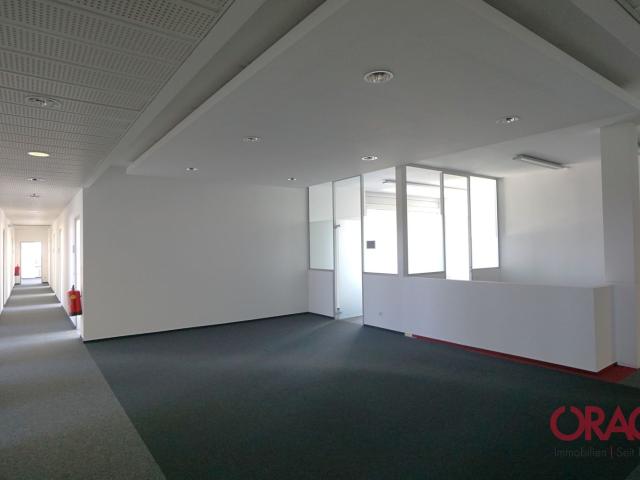 Gewerbe mieten in Schwechat, Niederösterreich