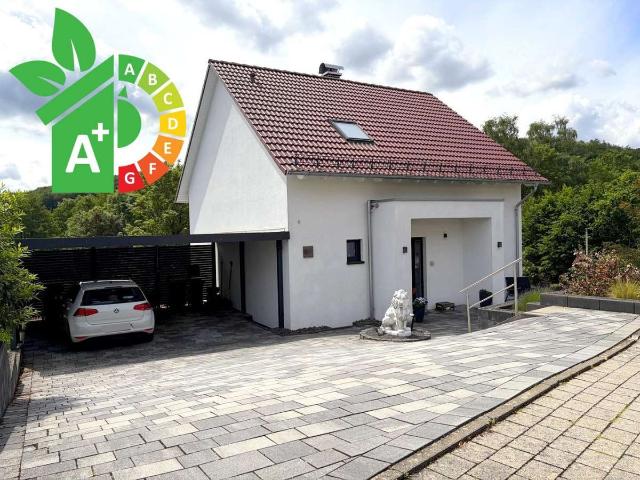 Haus kaufen in Büren, Kreis Paderborn
