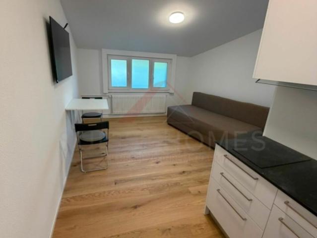 Studio mieten in Flumenthal, Solothurn