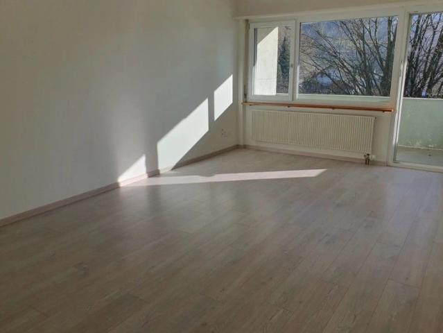 Apartment mieten in Balsthal, Amtei Thal-Gäu