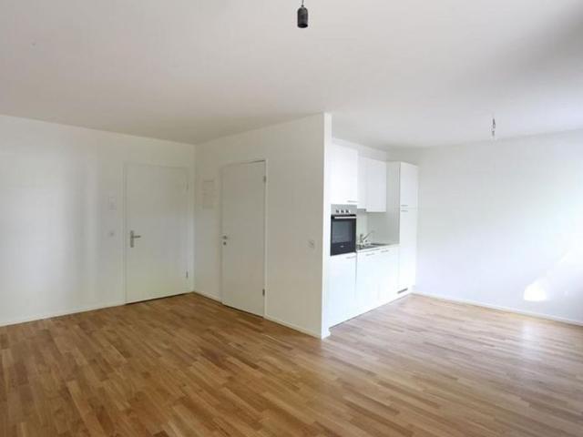 Apartment mieten in Kleinbasel, Basel