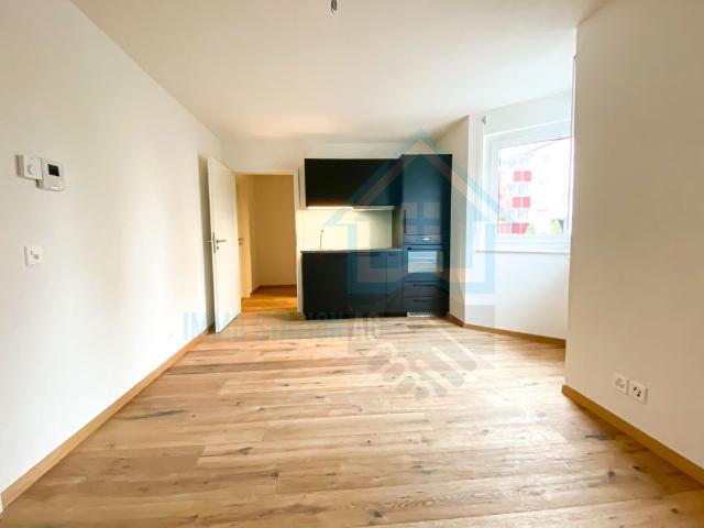 Apartment mieten in Gontenschwil