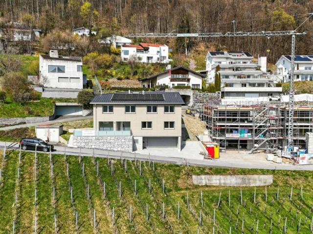 Einfamilienhaus kaufen in Sargans, St. Gallen