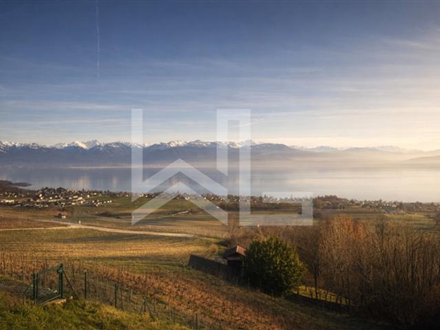 Einfamilienhaus kaufen in Rolle, Waadt
