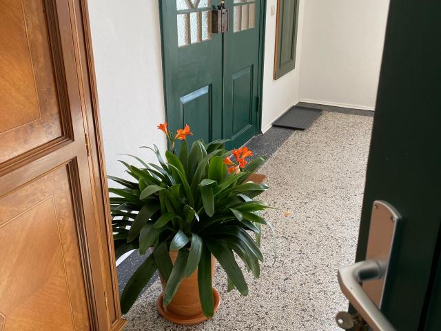 Apartment mieten in Admannshagen-Bargeshagen, Mecklenburg-Vorpommern