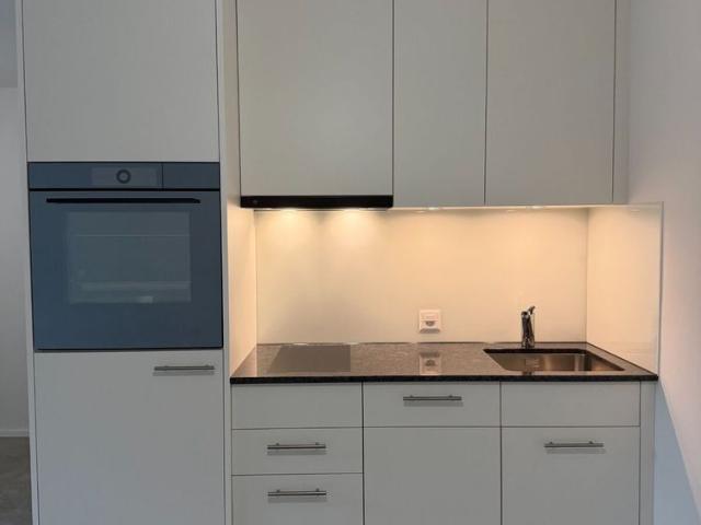 Apartment mieten in Höngg, Zürich