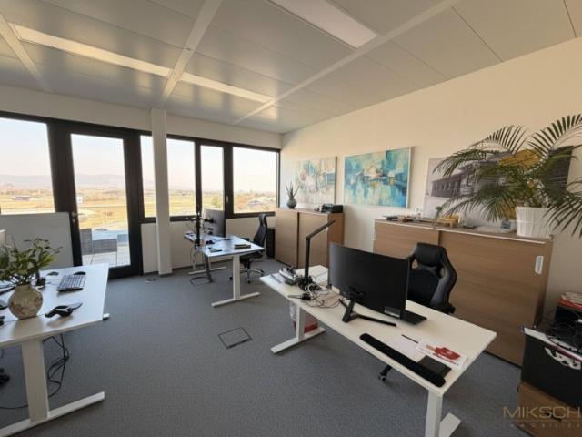 Büro kaufen in Baden, Niederösterreich