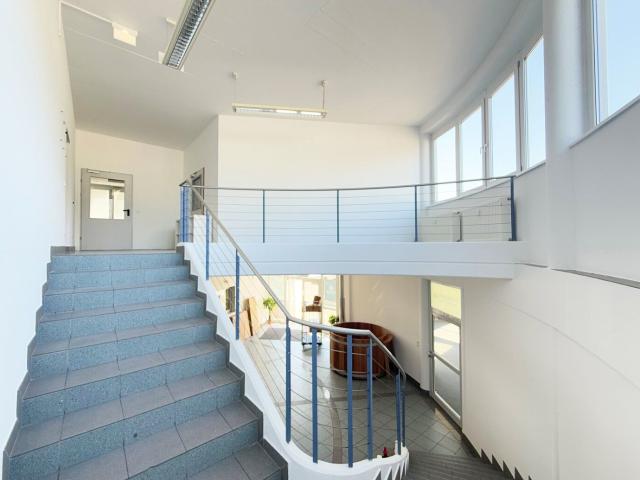 Gewerbe mieten in Anif, Salzburg