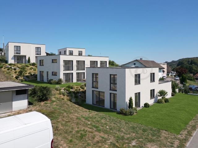 Haus kaufen in Safenwil, Aargau