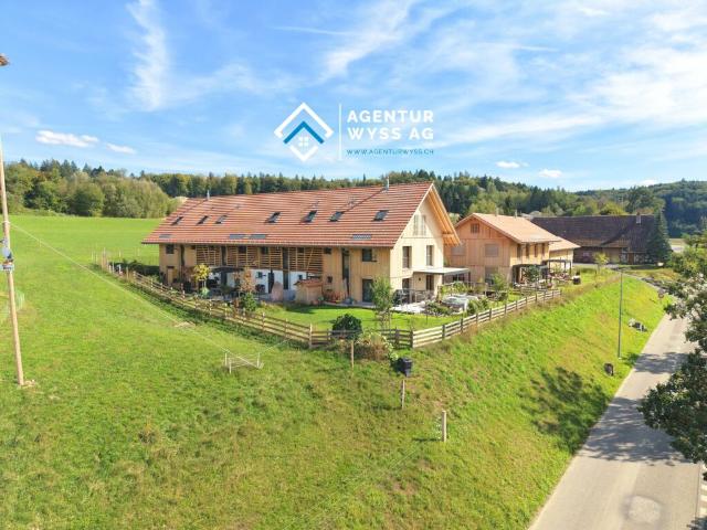 Einfamilienhaus kaufen in Rumendingen, Bern