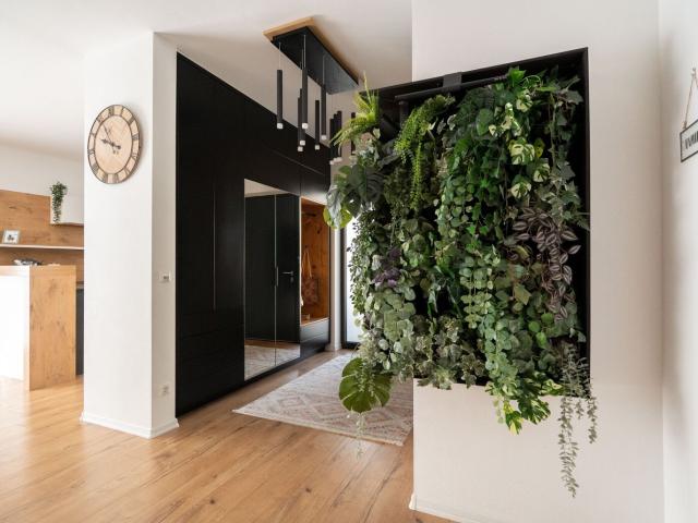 Haus kaufen in Bad Hall, Bezirk Steyr-Land