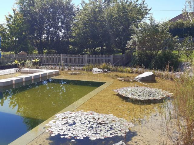 Einfamilienhaus kaufen in Ried in der Riedmark, Oberösterreich