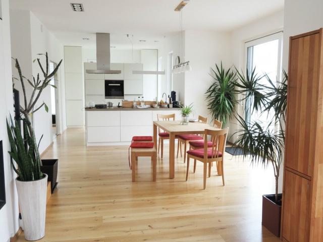 Haus kaufen in Ried in der Riedmark, Oberösterreich