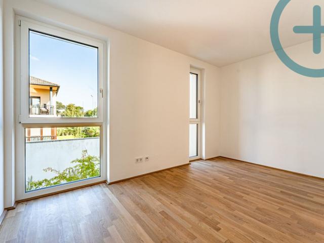 Haus kaufen in Leopoldsdorf im Marchfelde, Niederösterreich