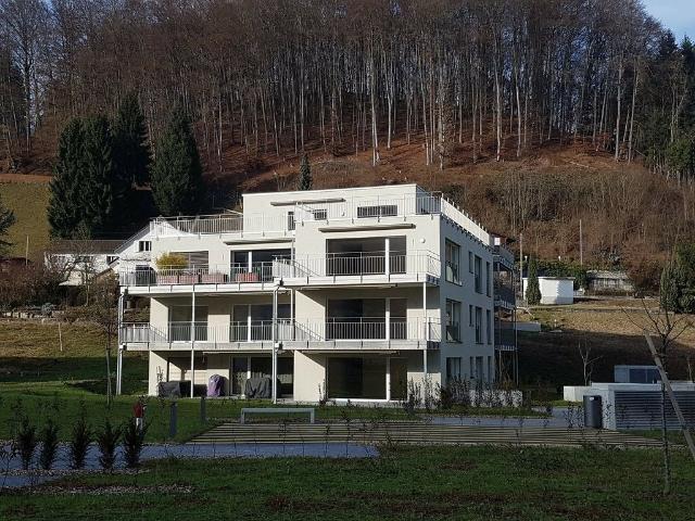 Etagenwohnung mieten in Gränichen